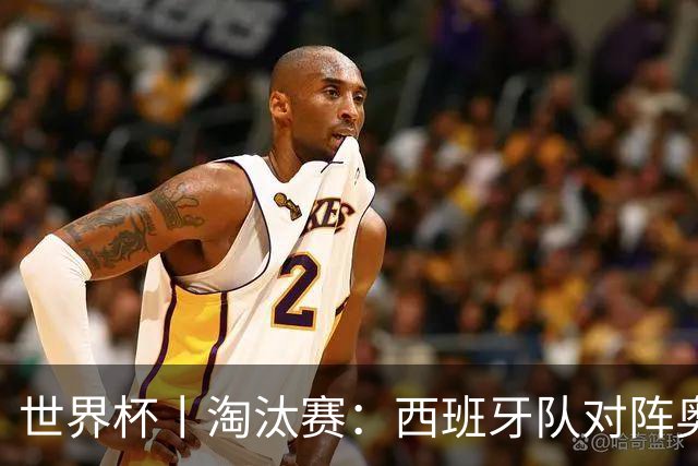 世界杯丨淘汰赛：西班牙队对阵奥地利队